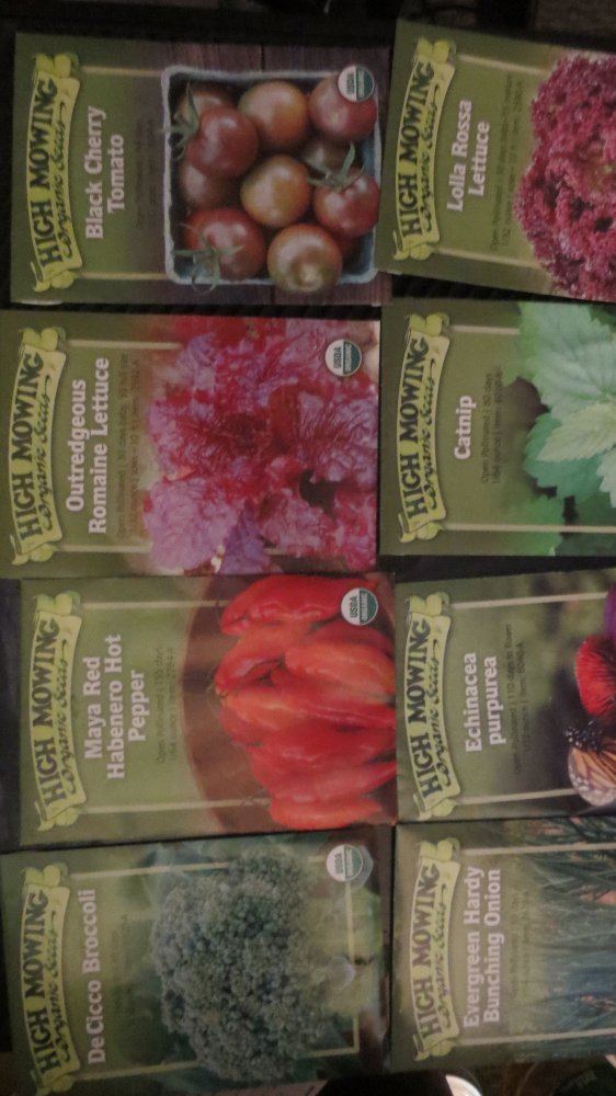 Seeds 001