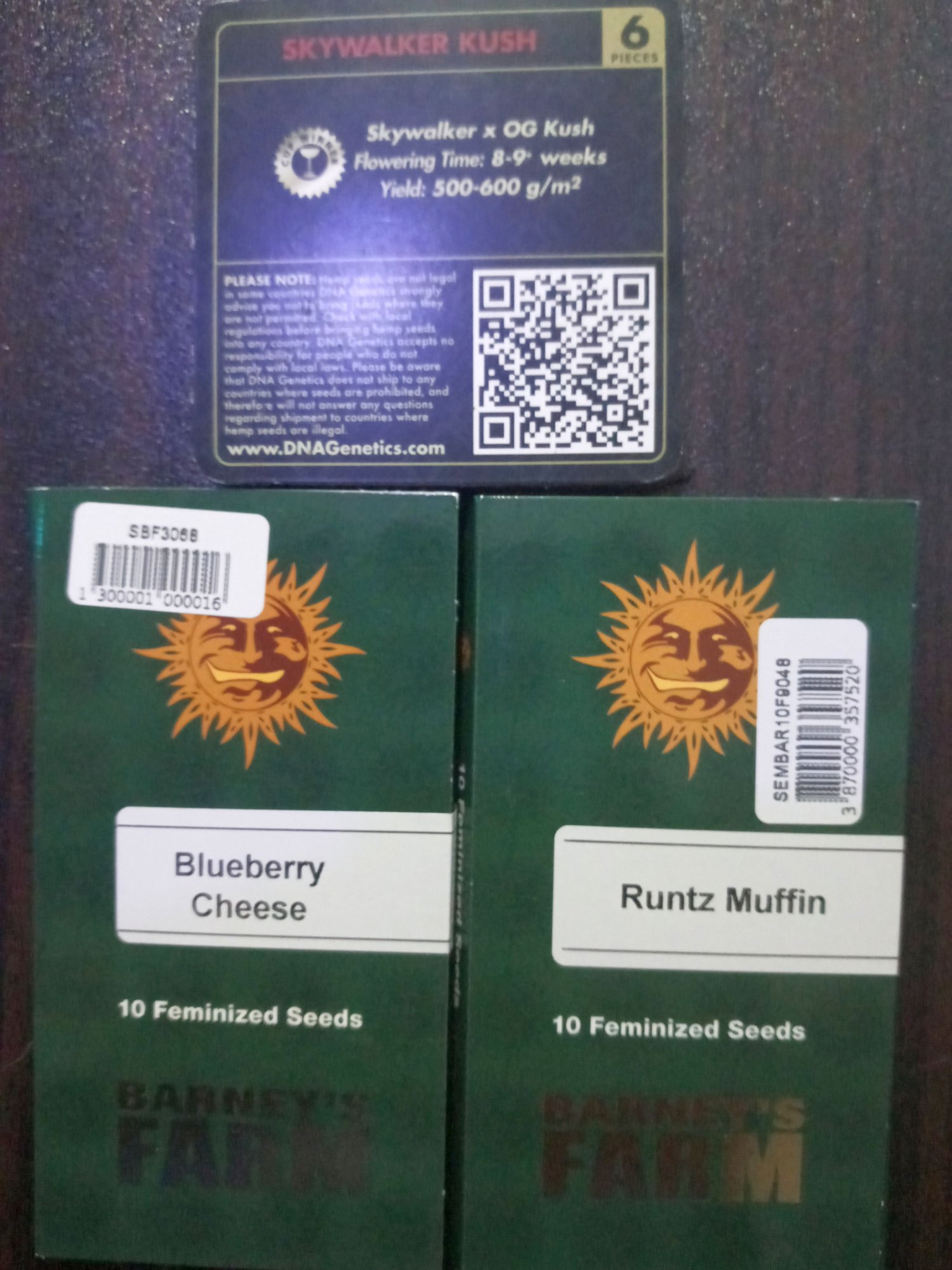 Seeds