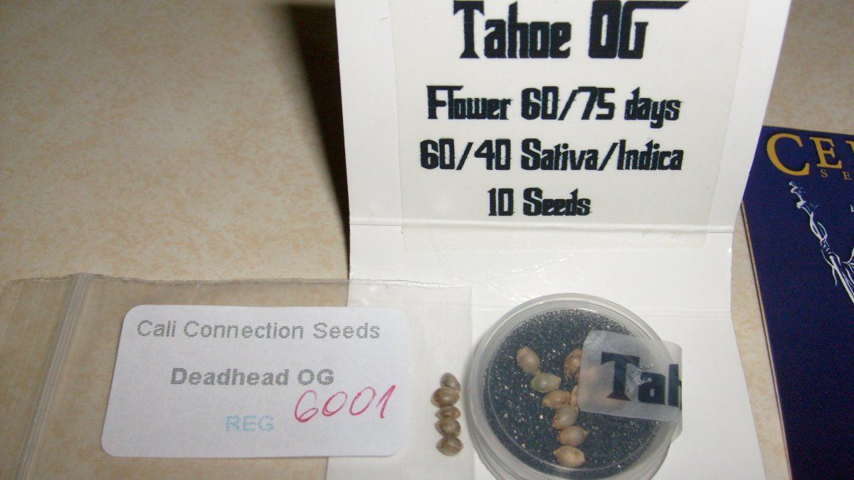 Seeds n hash 001