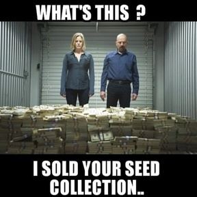 Seeds sold