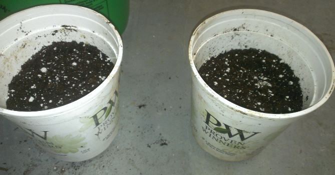 Seeds2