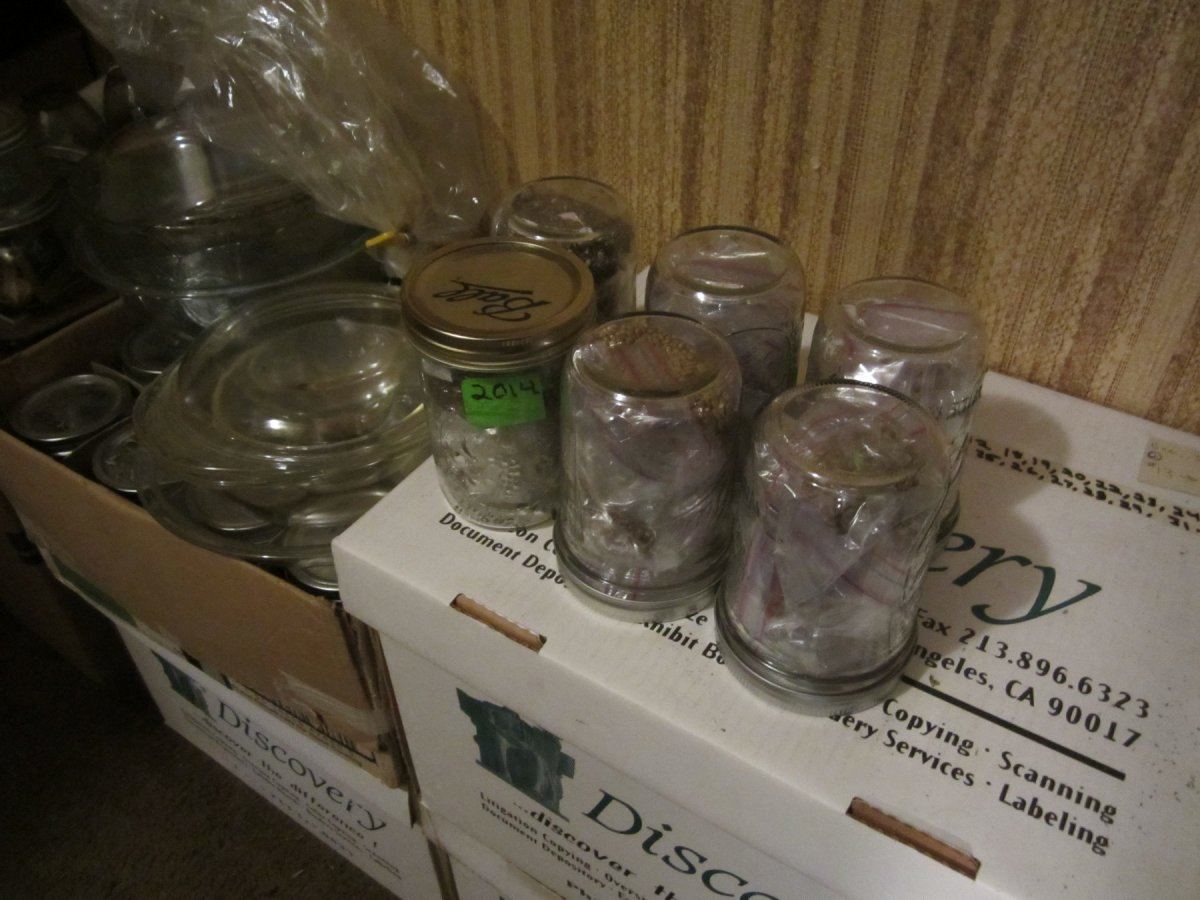 SeedToo