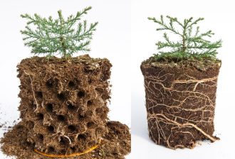 Sequoia Comparison Air Prune vs Slick Wall