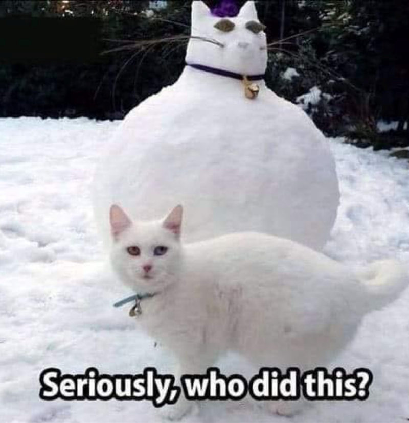 Seriously who did this
