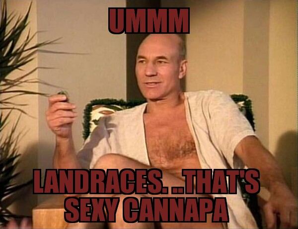 Sexual Picard