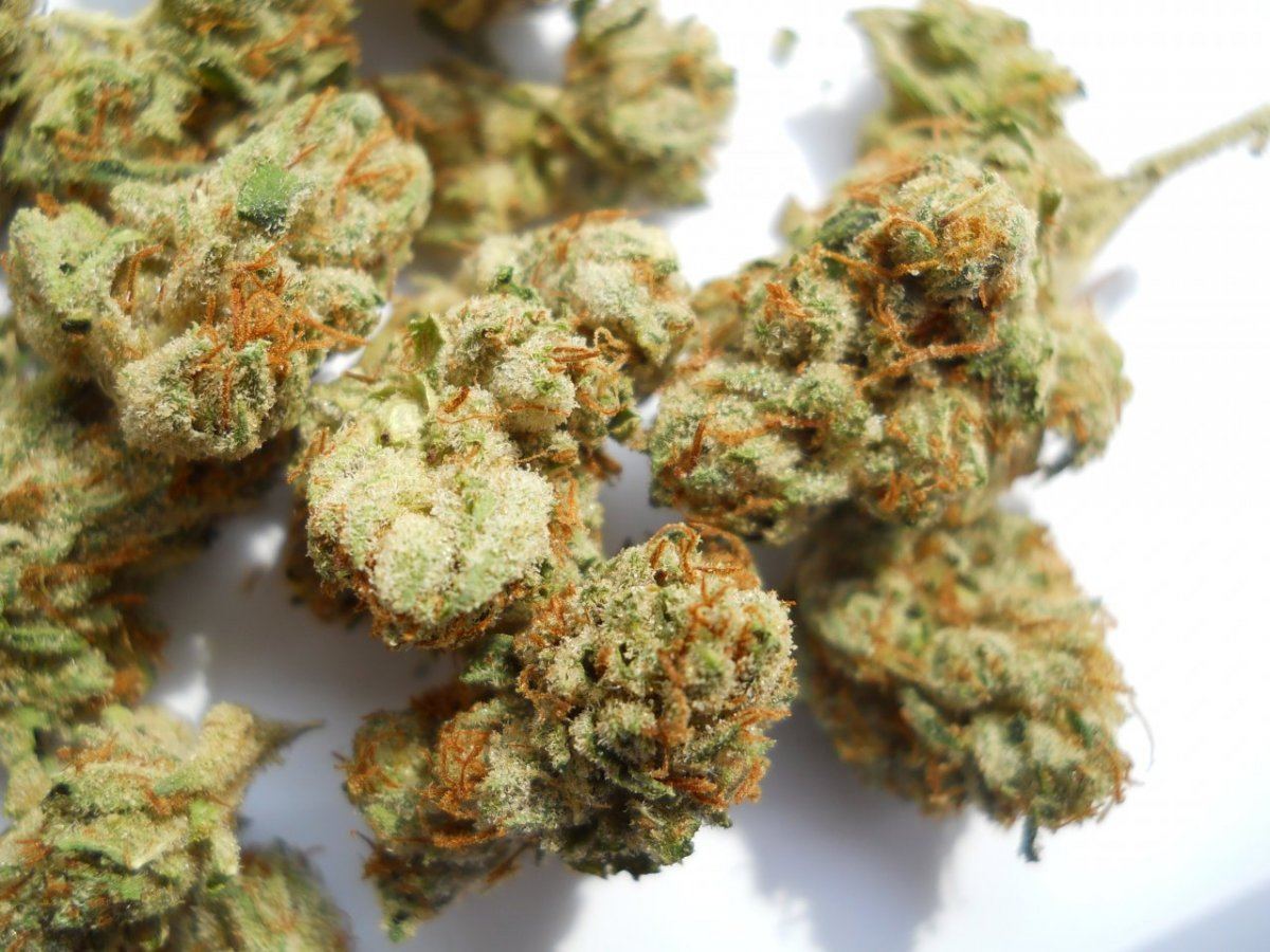 Sfv og 3