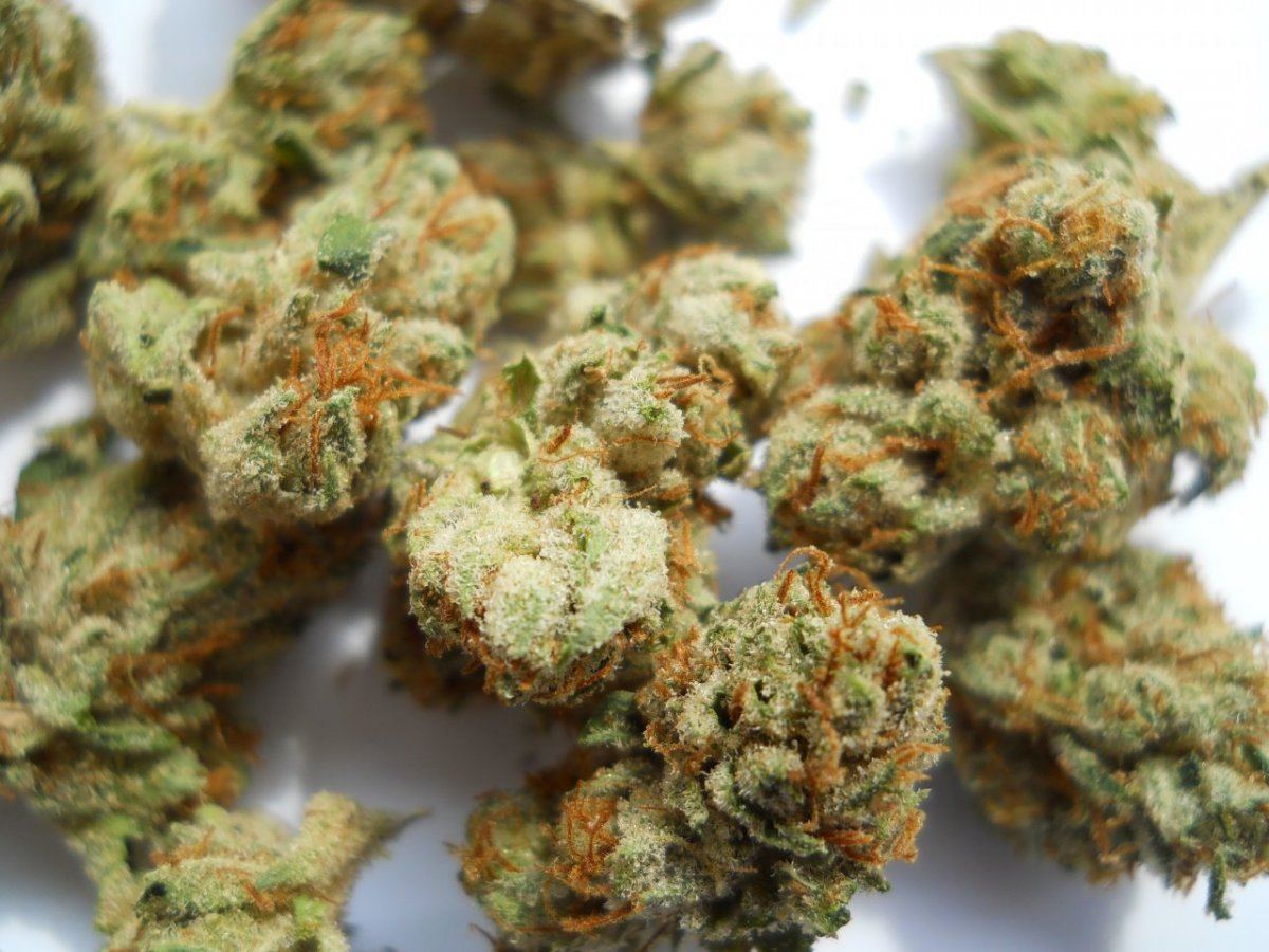 Sfv og