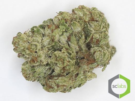 Sfv og ld16