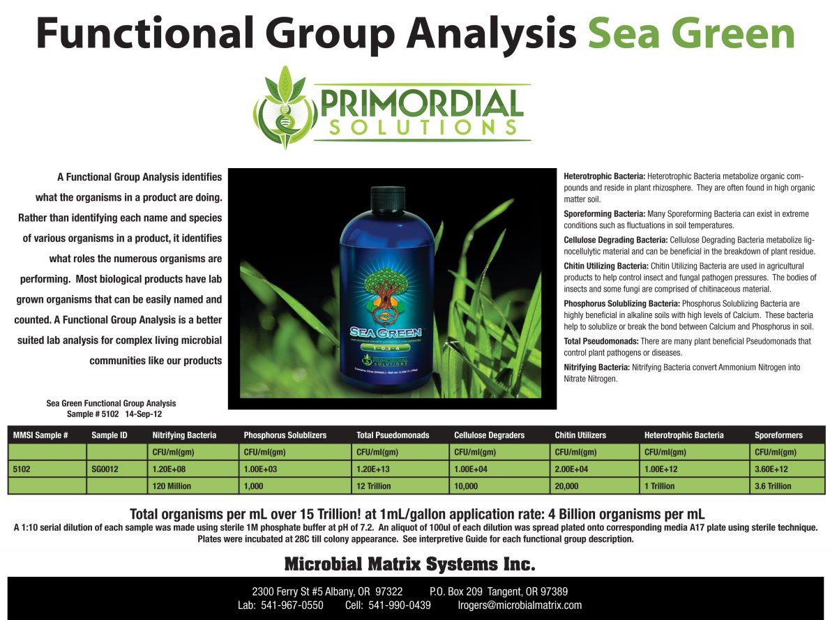SG Functional group analysis