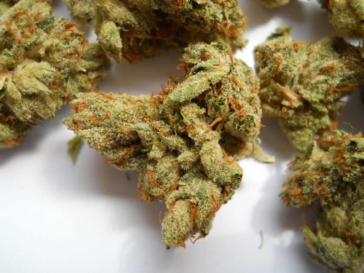 Sgv og2