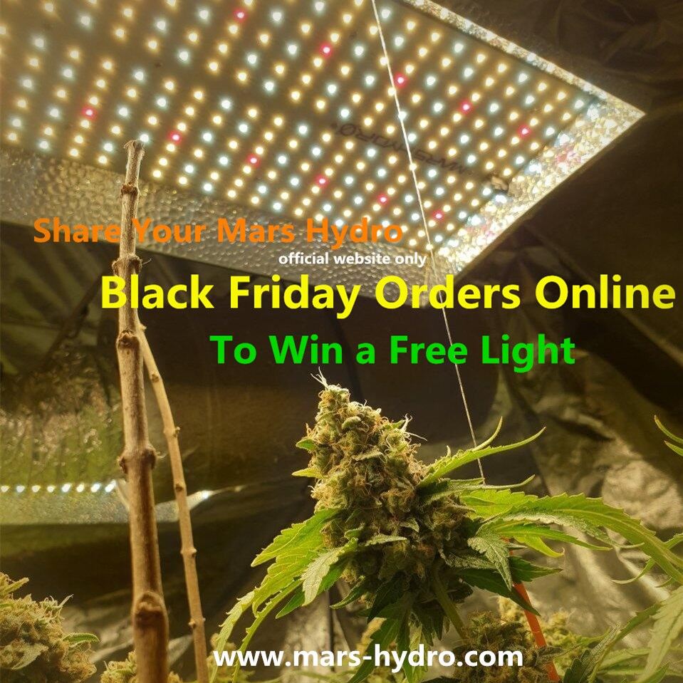Share order