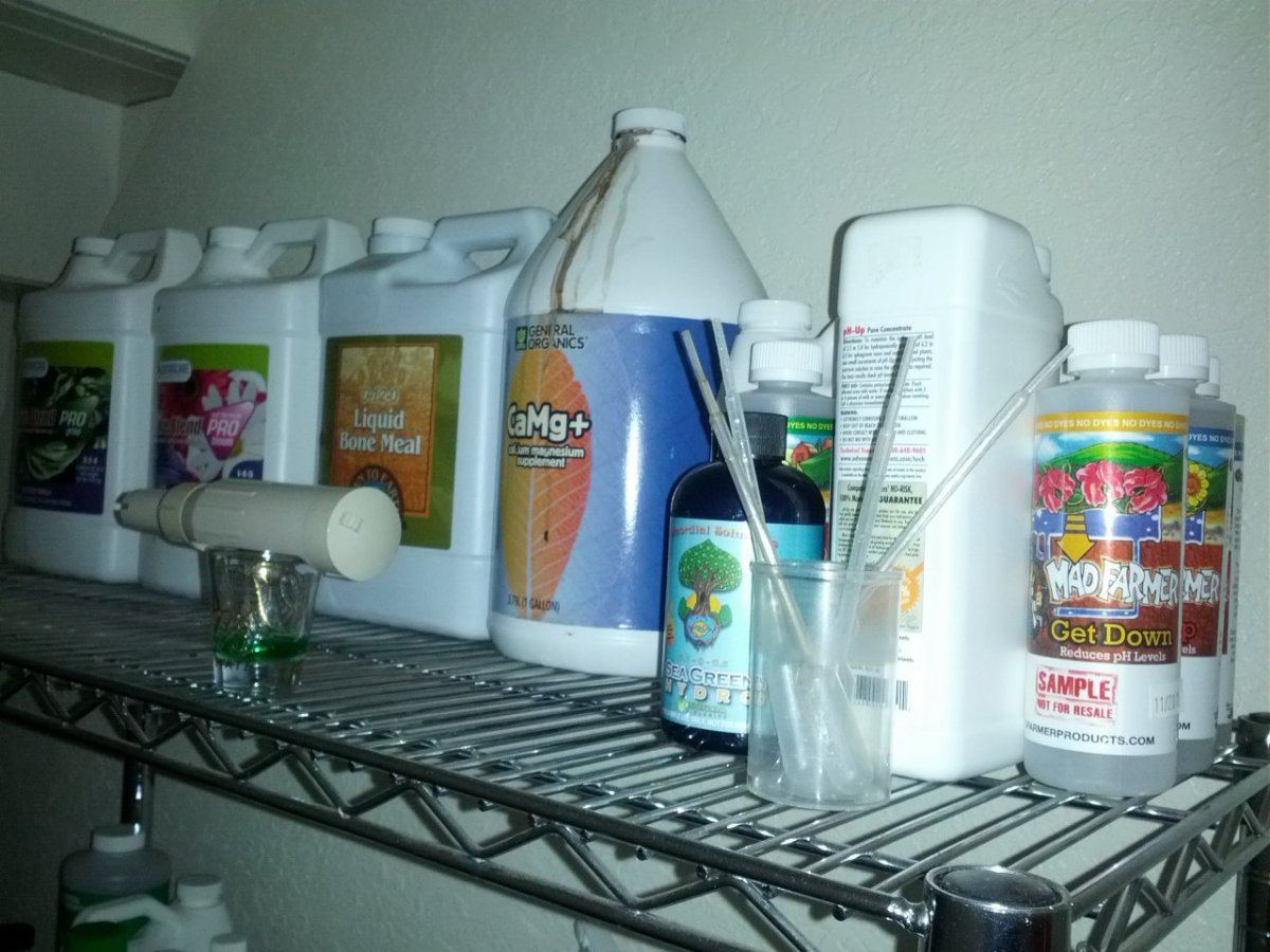 Shelf1