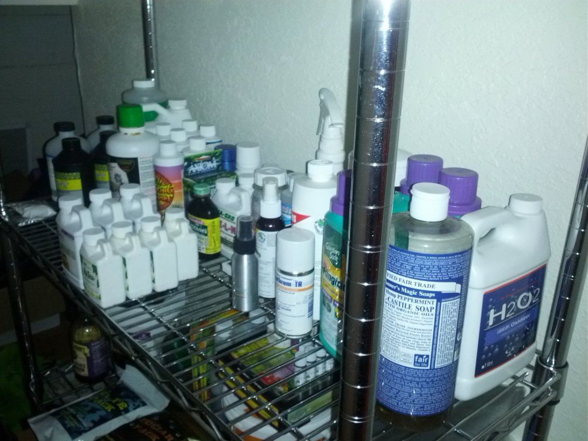 Shelf2