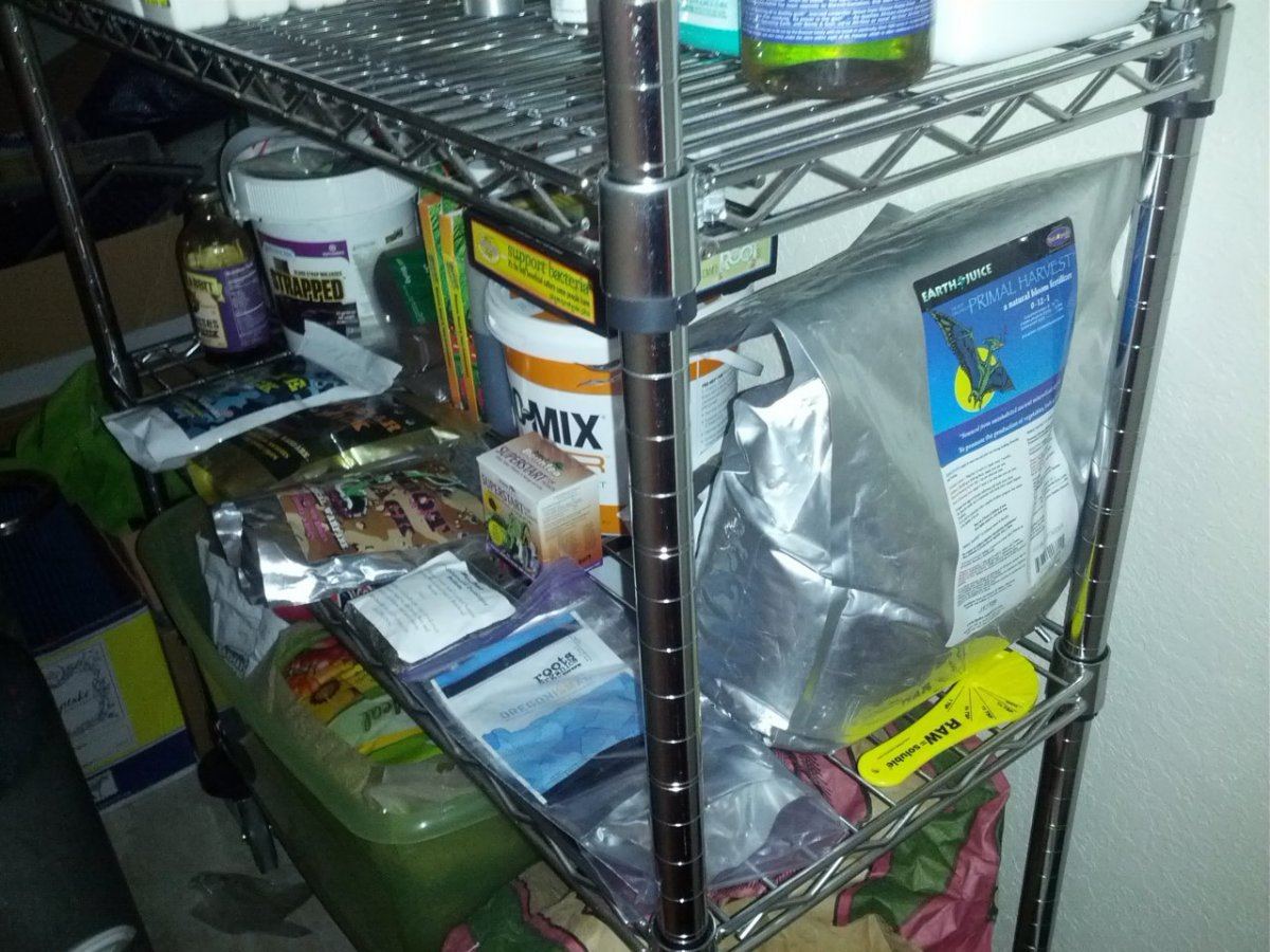Shelf3