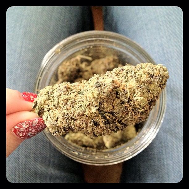 Sherbert2