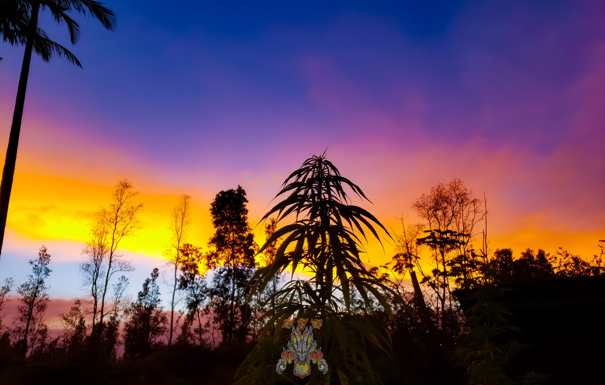 Shillong sunset 2
