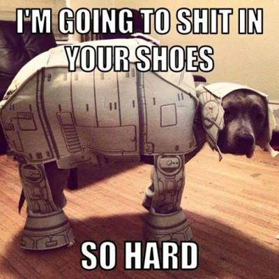 Shit in your shoes so hard