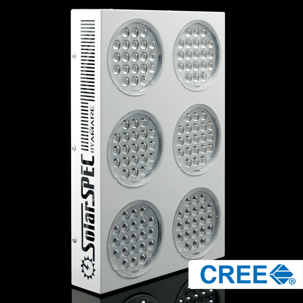 Shopify SS260BLK02CREE