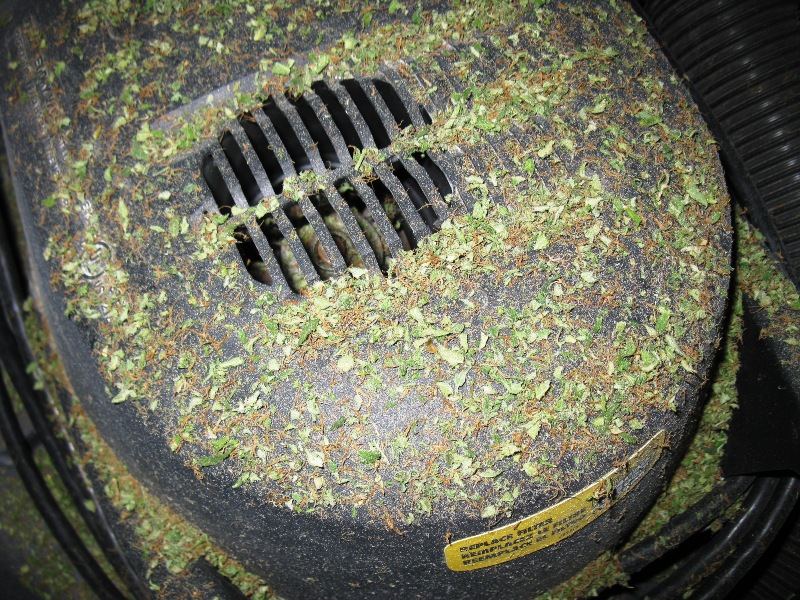 Shopvac