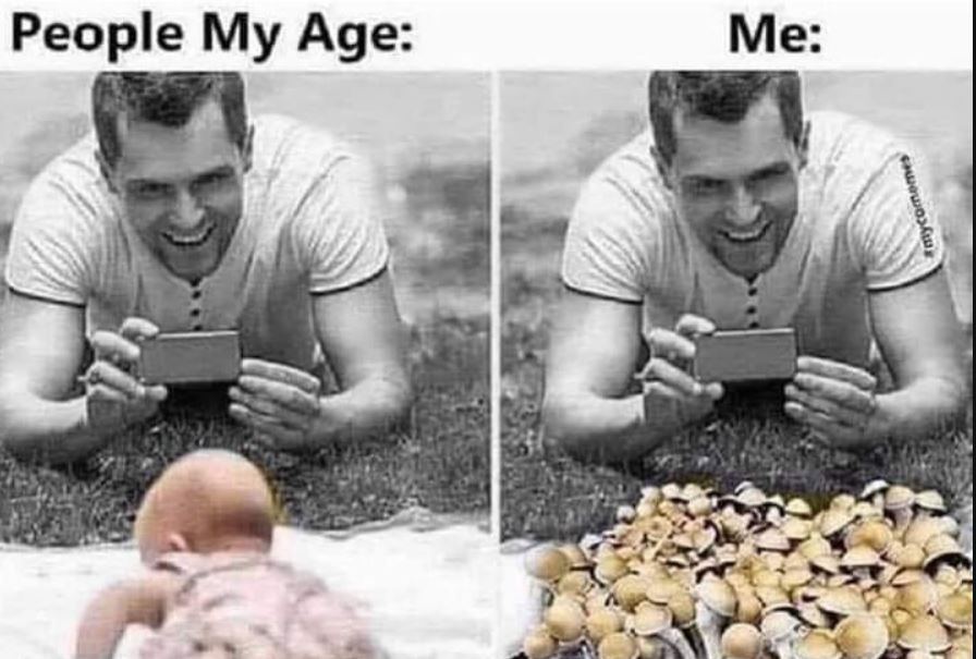 Shroom2
