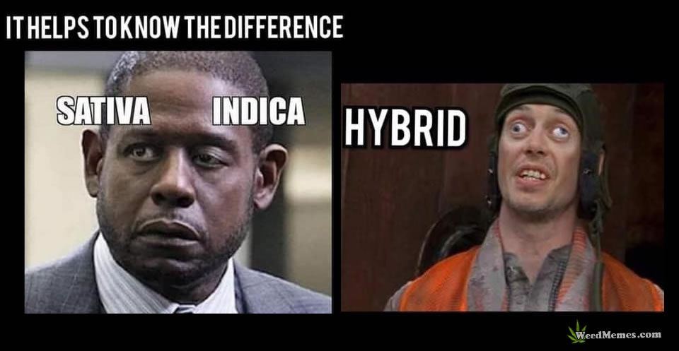 Si h