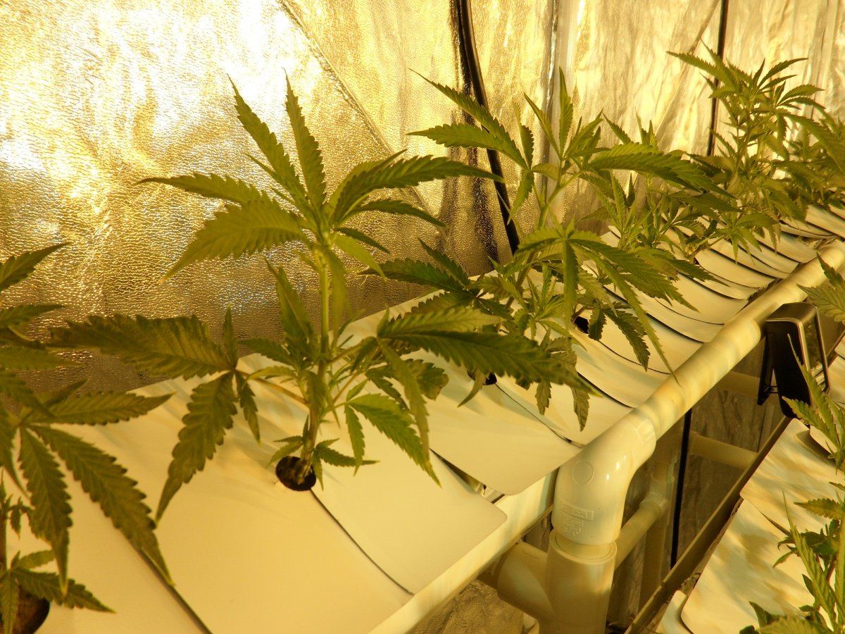 SideA WK1 Day2