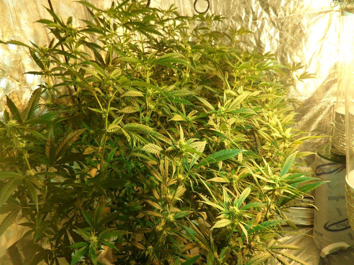 SideA Wk4 Day22