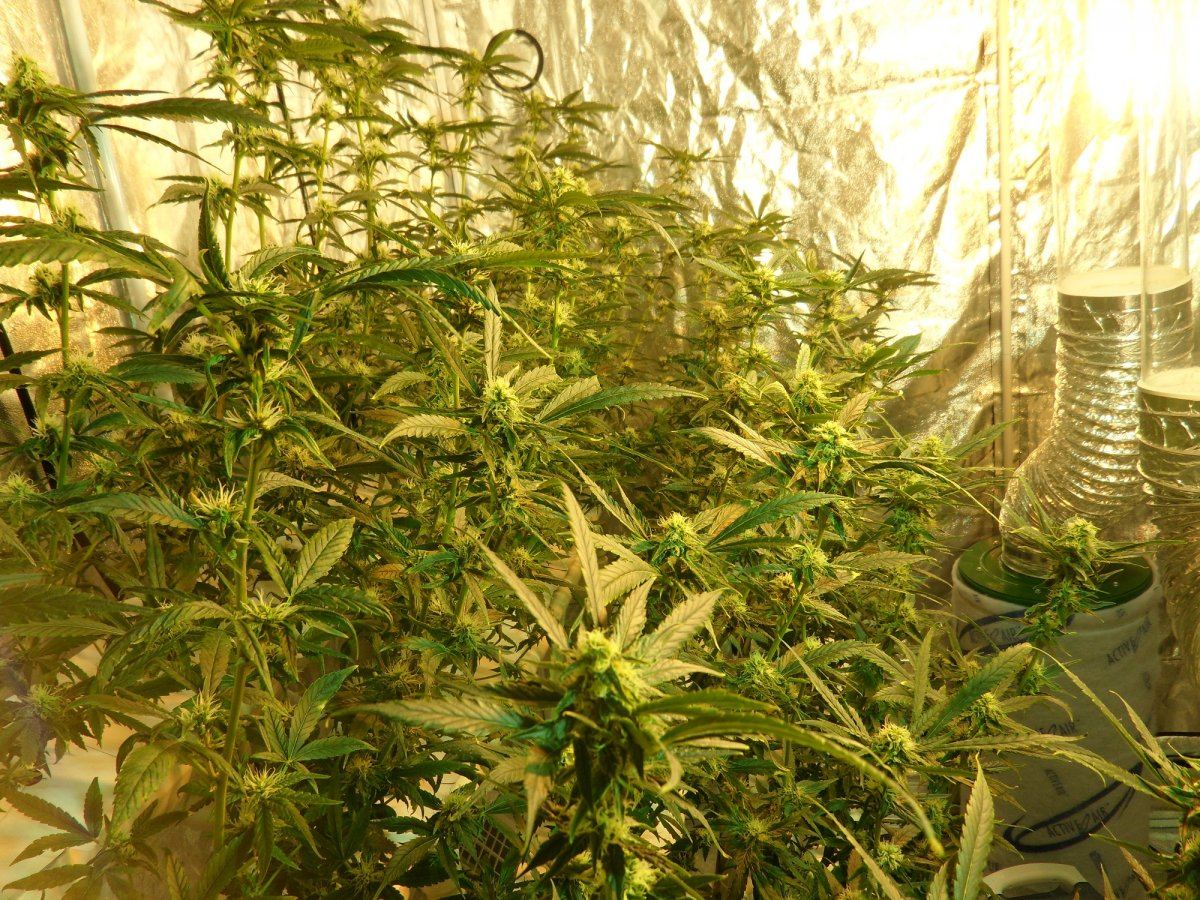 SideA Wk4 Day27 Trim