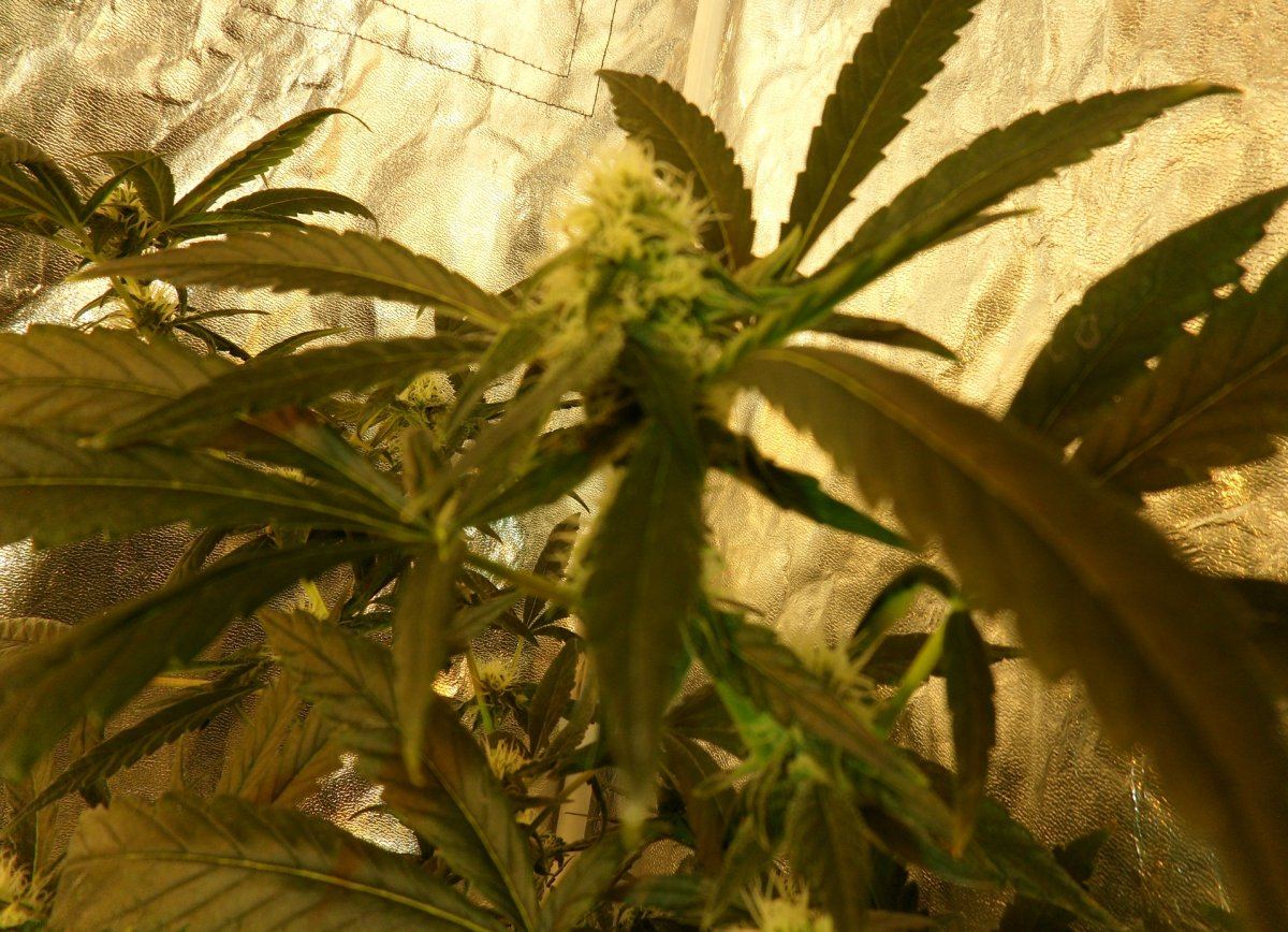 SideB Wk4 Day272