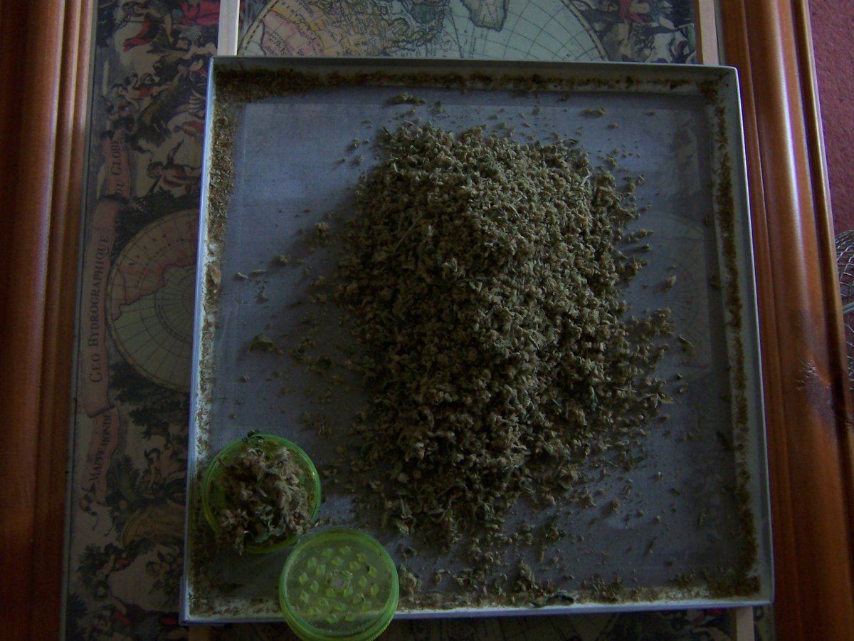 Sift 2