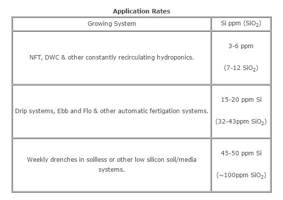 Silicon in working solution reccomendations