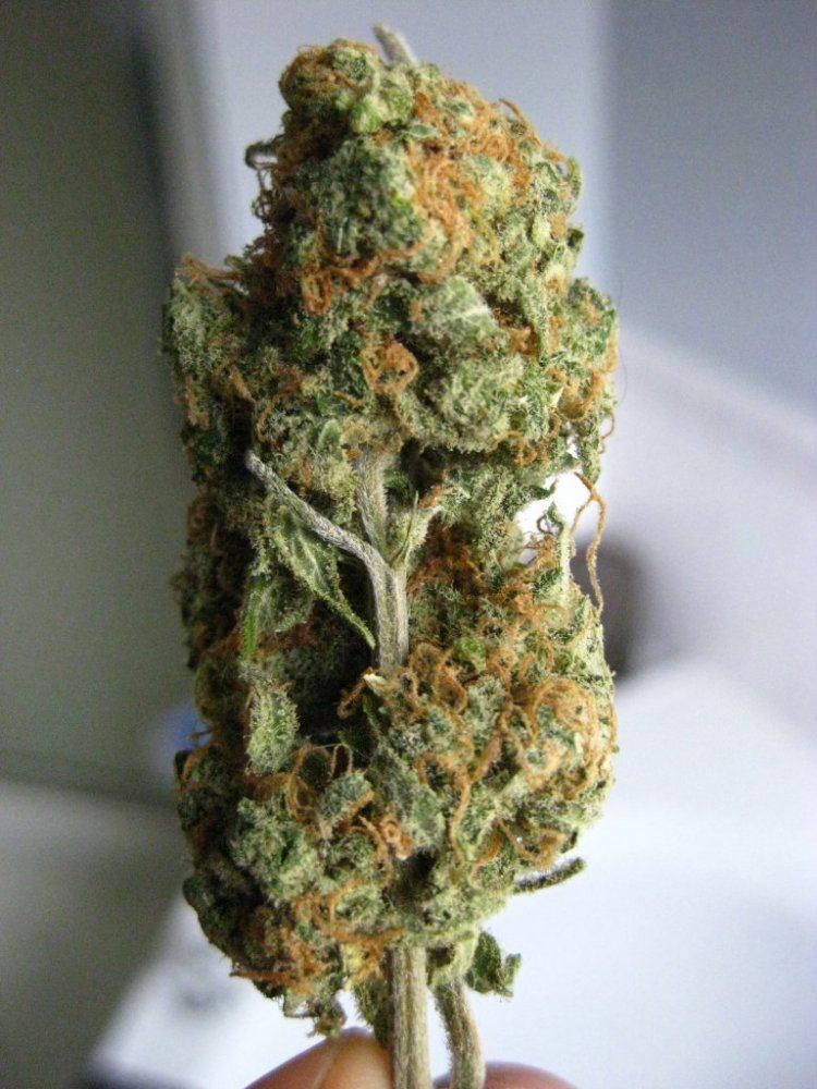 Silver Haze 2