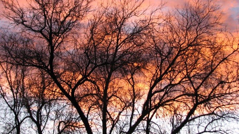 Sinrise 001 800x600