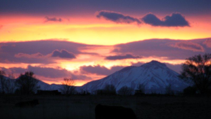Sinrise 006 800x600