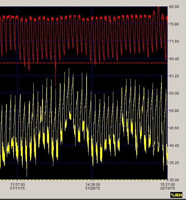 Six weeks VPD
