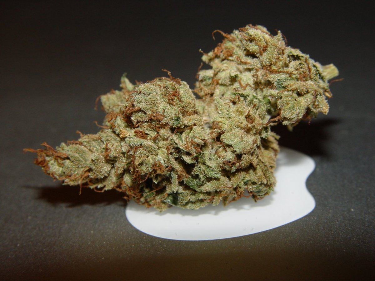 Skywalker OG  1