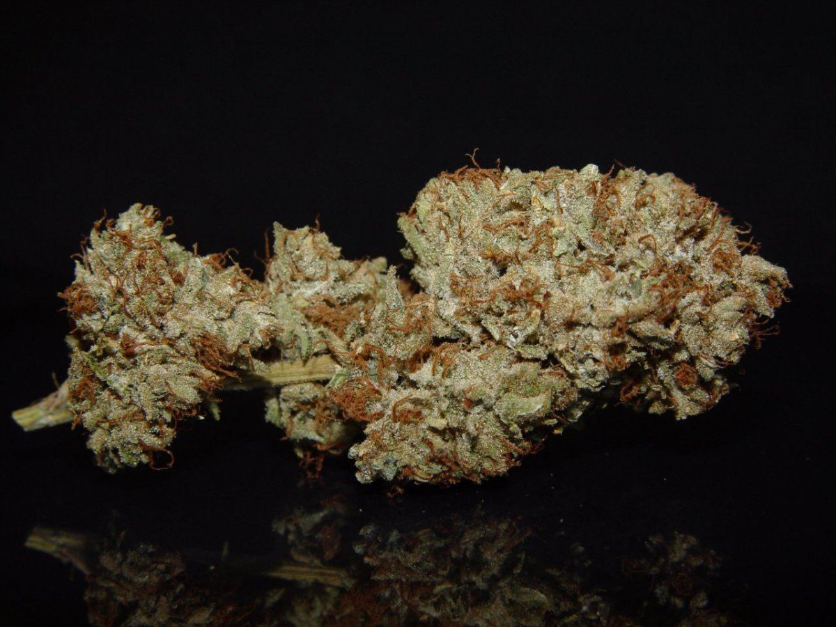Skywalker OG  2