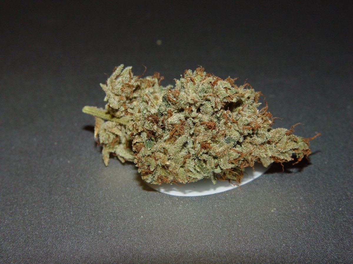 Skywalker OG  2