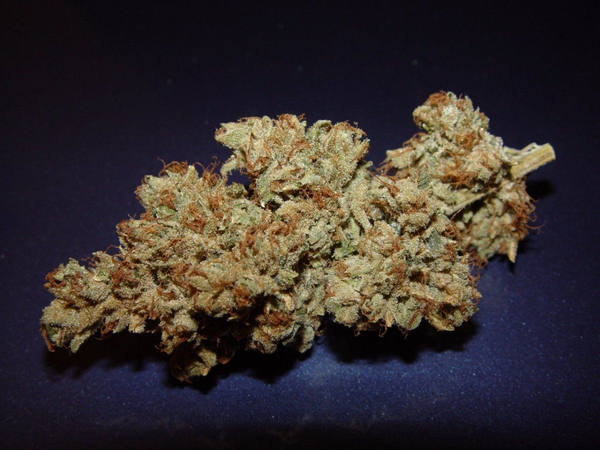 Skywalker OG  3