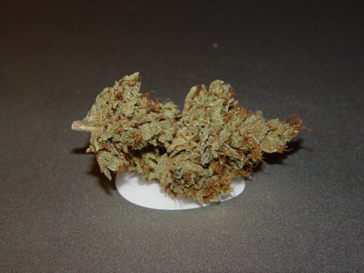 Skywalker OG  3