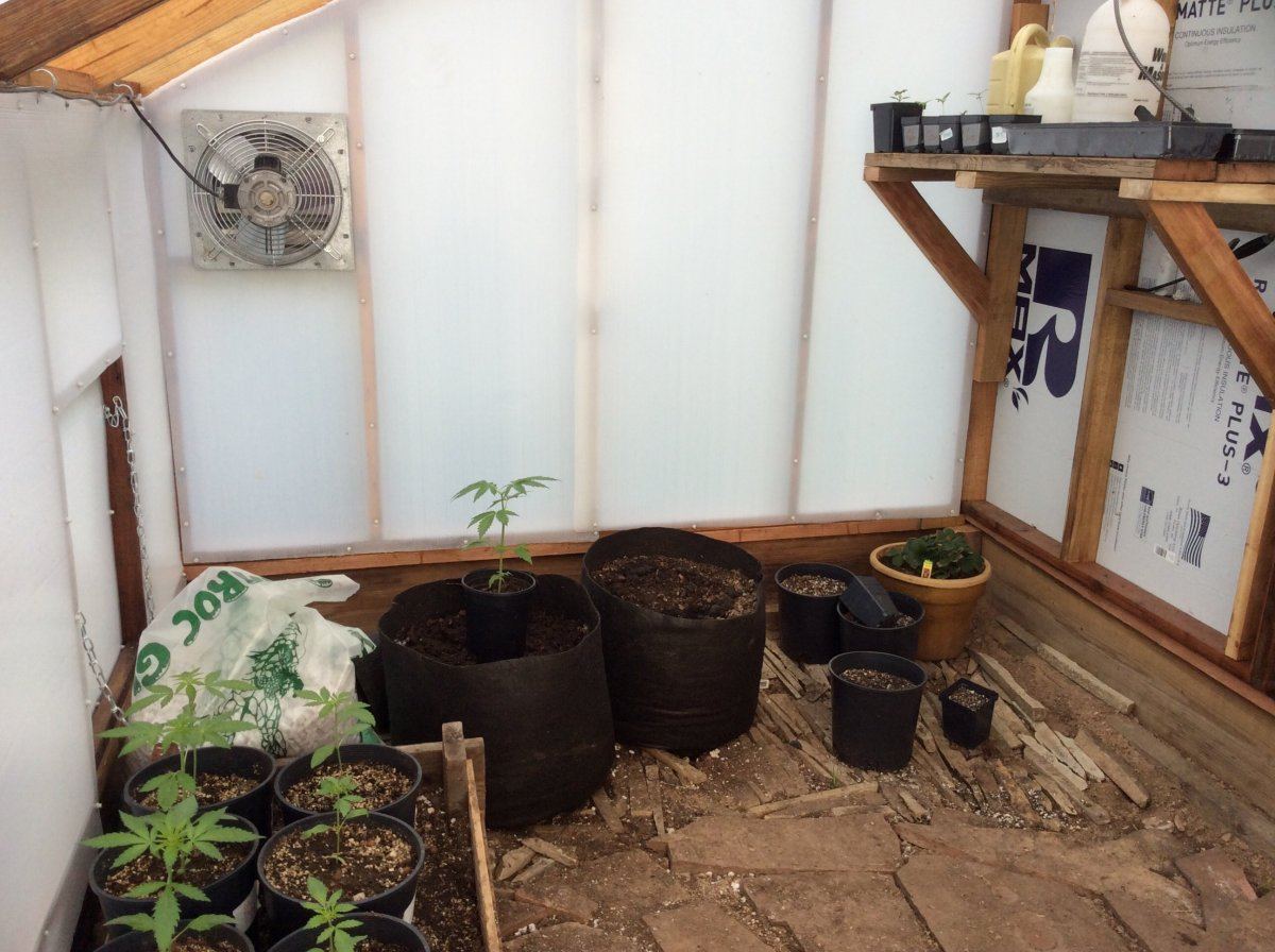 Small greenhouses 2