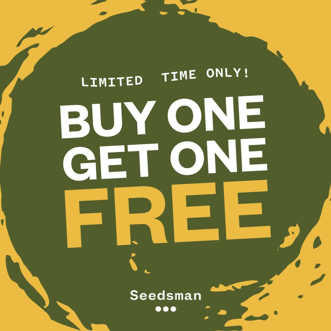 Sman bogof 1080x1080px