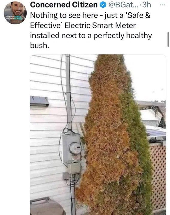 Smart meters for the kill