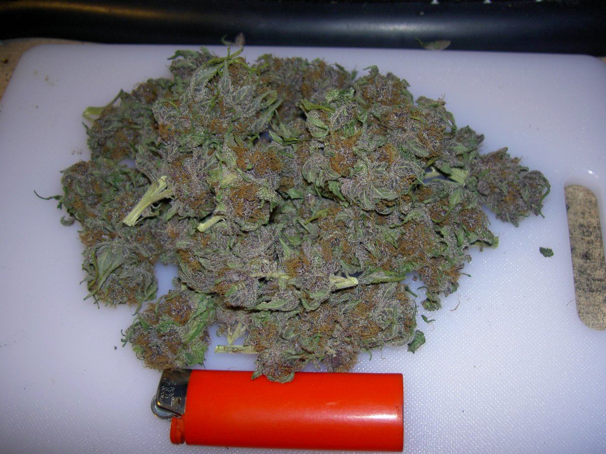 Smoke report jackberry f3 purple pheno