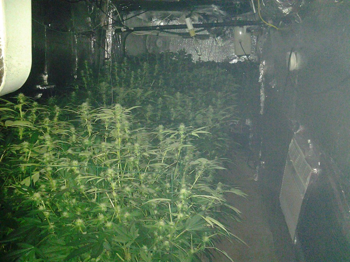 Smoke shot day 24