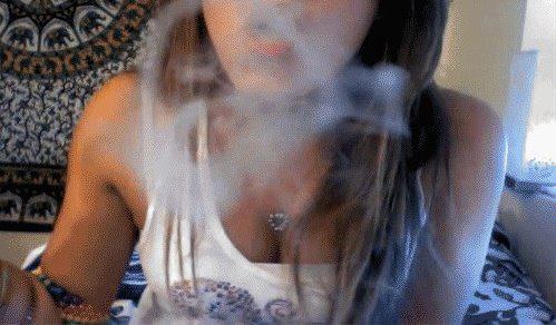 SMOKEBOOB sf