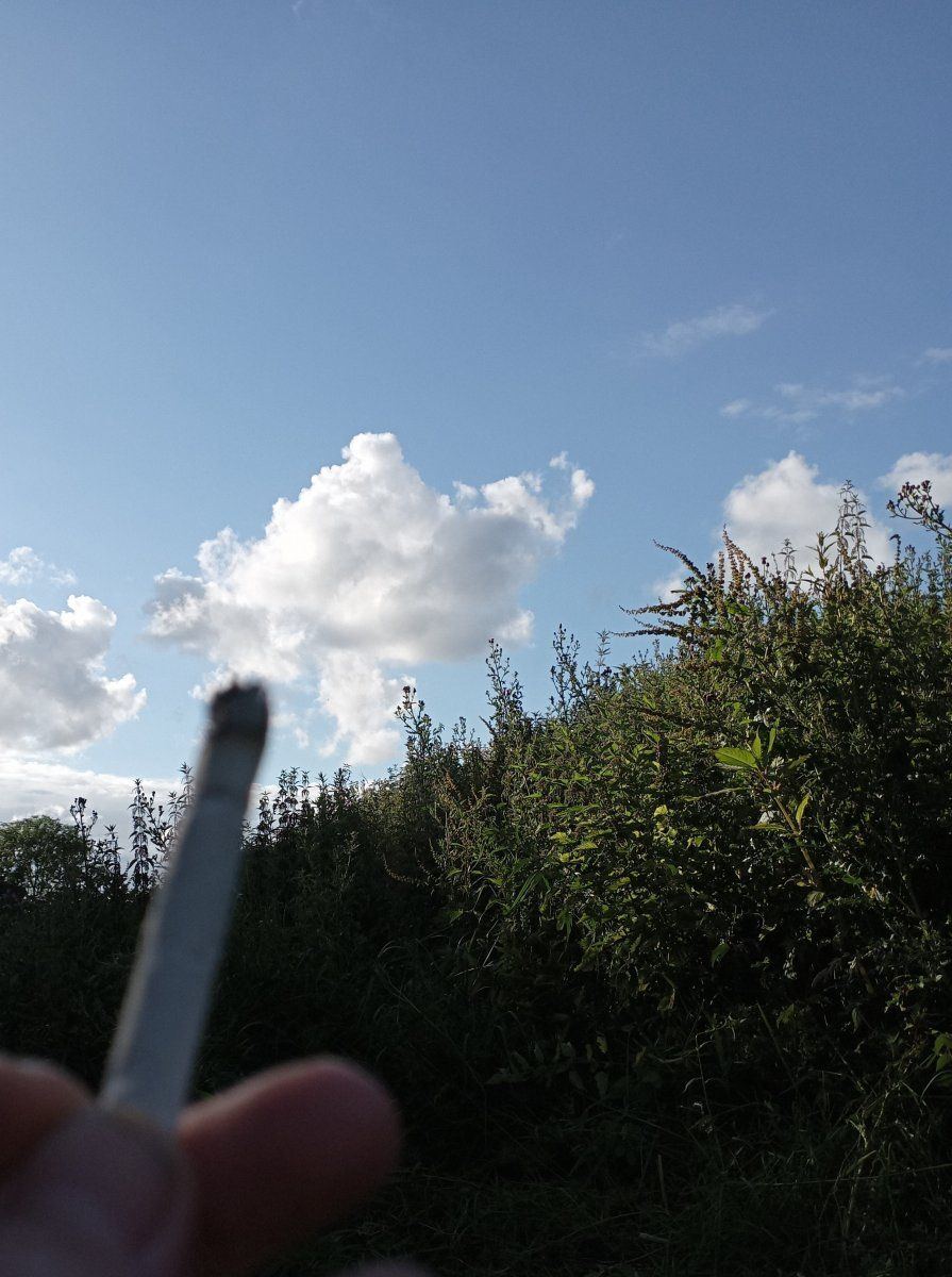 Smokecloud