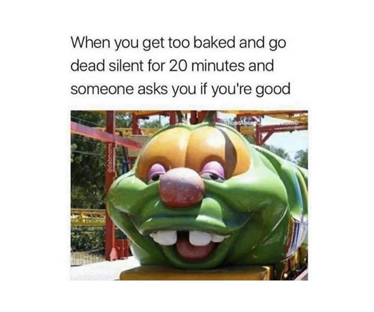 Smoked too much weed meme