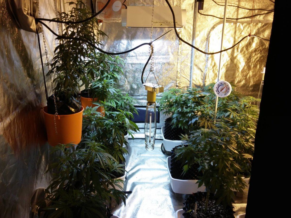 Smokeys den 4