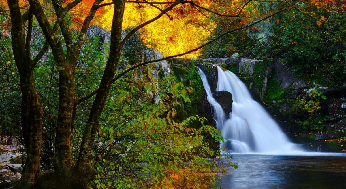 SmokyMountains6